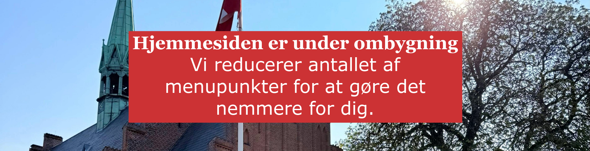 Viborg Domkirke tårne