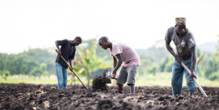 Man må adskille religion og politik for at opnå fred i Afrika