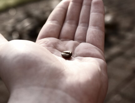 Støt missionsarbejde