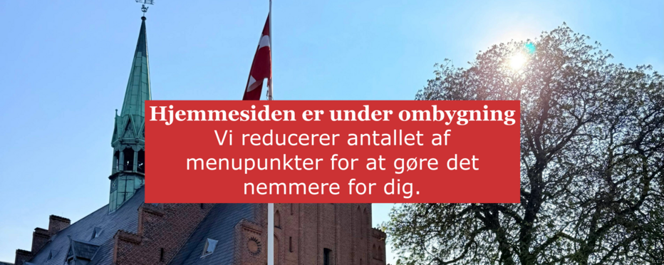 folkekirkens migrantsamarbejdes logo